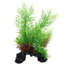 Plante décorative pour aquarium à aspect naturel, roche Ceratopteris