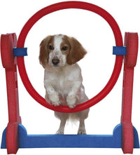 Small Dog Soft Rigid Foam Easy Assemble Agility Hoop Fun Exercise 32x56x68.3cm