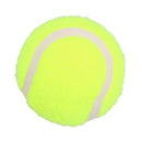 Lot de 12 balles de tennis standard pour chien - Jeu de lancer et de rapporter - Coffret cadeau pour chien