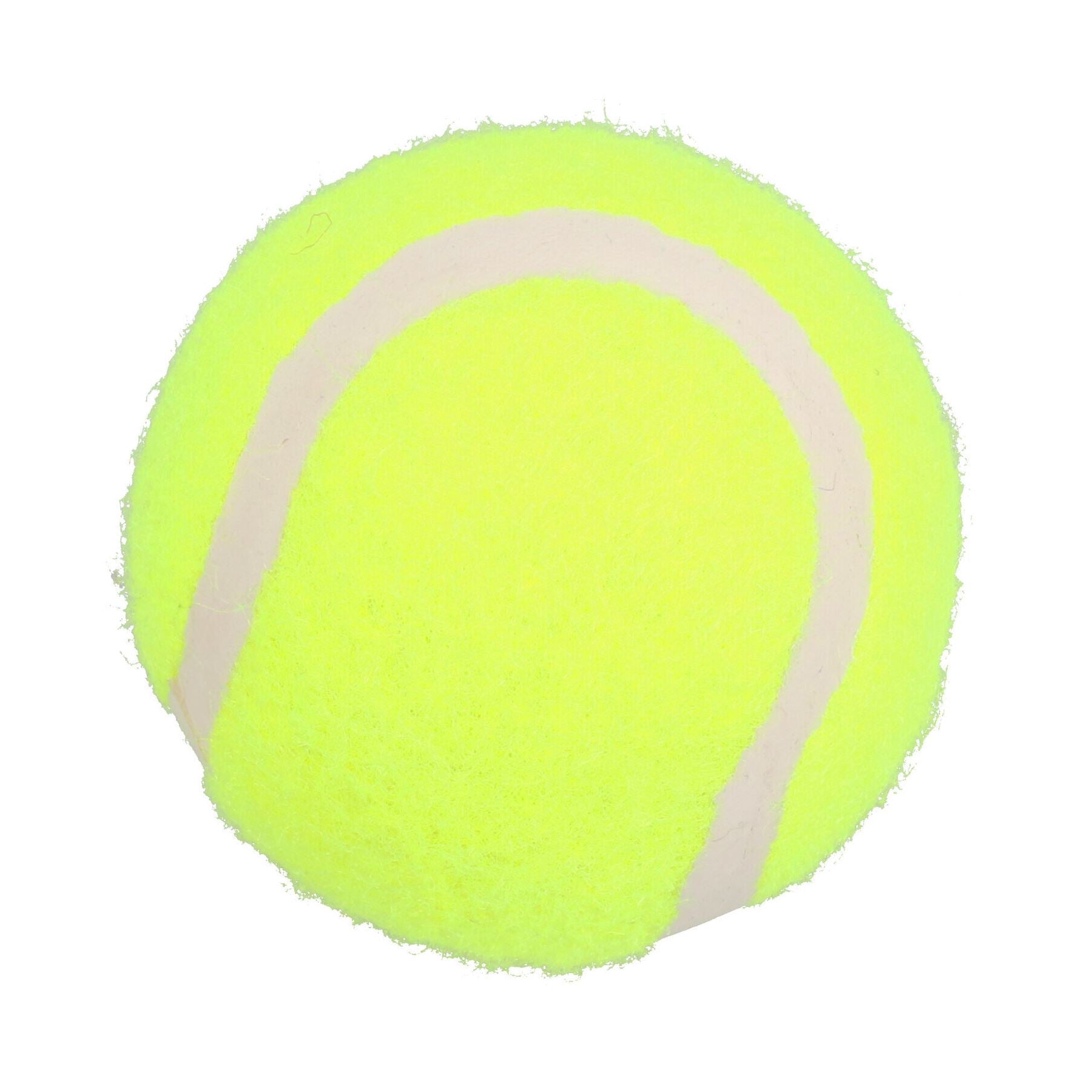 12Pk Standard Tennis Balls Dog Play Time Chuck & Fetch Game Dog Gift Set