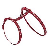 Burgundy Small Animal Paw Print Harness & Lead (Neck14-20/Chest18-28cm)