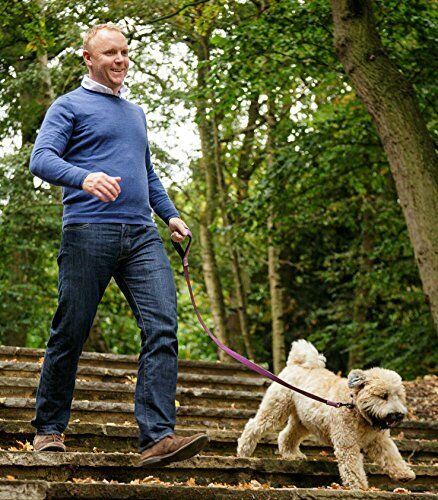 Petite laisse de promenade pour chien Halti bleue en néoprène réfléchissant durable rembourré