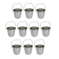 12L Stainless Steel Metal Bucket Pail Water Carrier Greenhouse Garden Plant BBQ