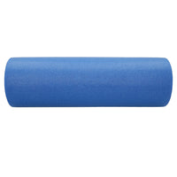 Foam Roller High Density PE 45cm For Muscle Release & Rehab Gym Fitness
