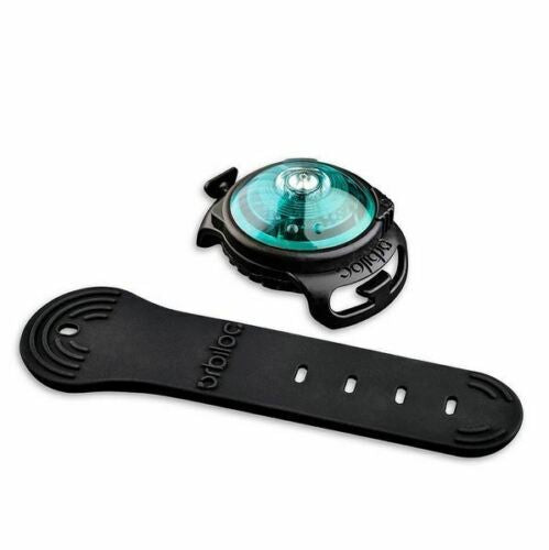 Turquoise Waterproof Durable Dual Flashing/Solid Safety LED Light for Dog Walk