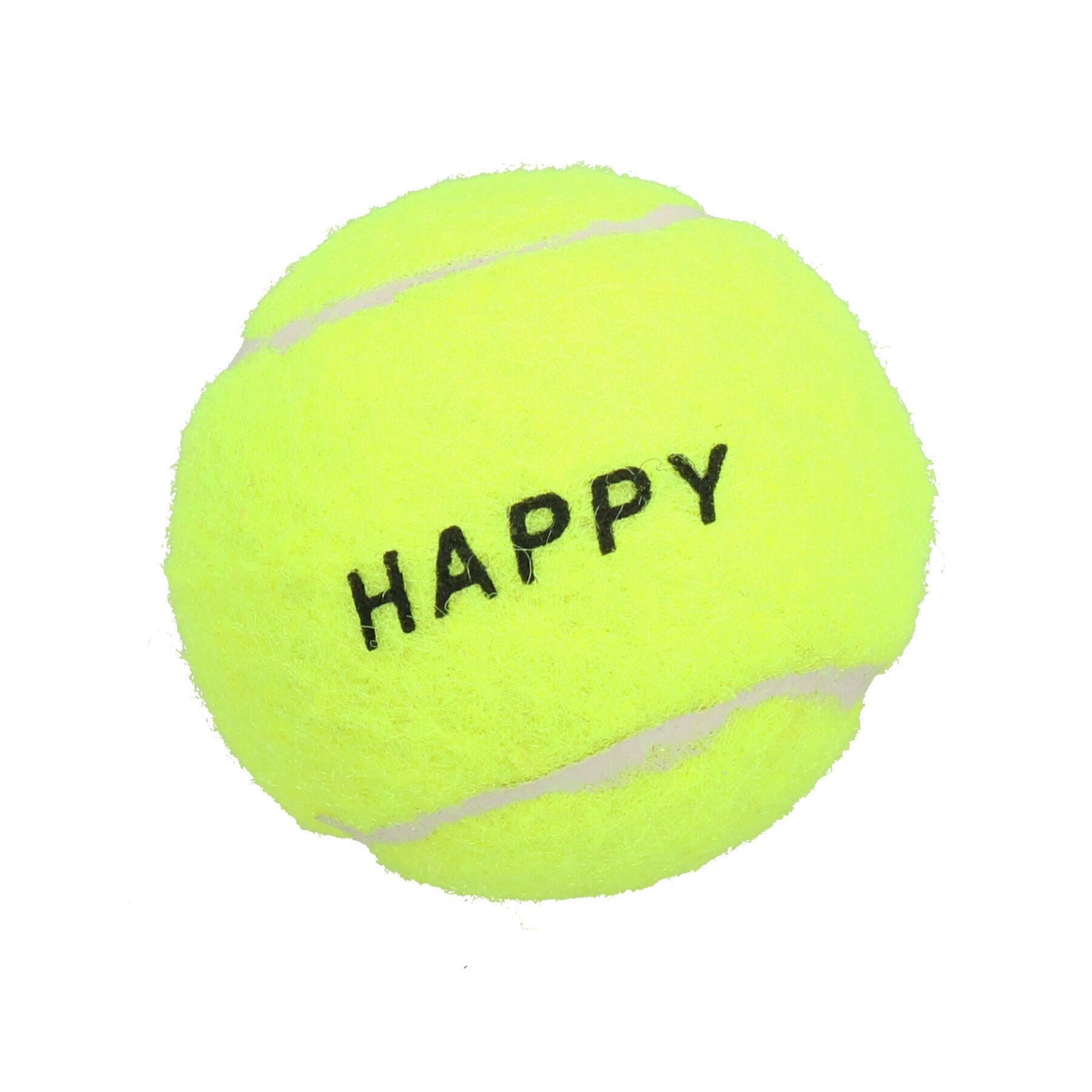 4PK Small Mini Interactive Tennis Ball Dog Play Time Throw Fetch Catch 4.8cm