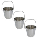 12L Stainless Steel Metal Bucket Pail Water Carrier Greenhouse Garden Plant BBQ