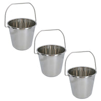 12L Stainless Steel Metal Bucket Pail Water Carrier Greenhouse Garden Plant BBQ