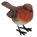 Robin Red Brest Garden Sculpture Ornament Statue Resin Decoration Animal Bird
