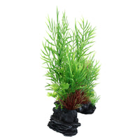 Plante décorative pour aquarium à aspect naturel, roche Ceratopteris