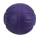 Large Interactive Play Durafoam Dog Puppy Ball Floating Toy-Assorted Colour