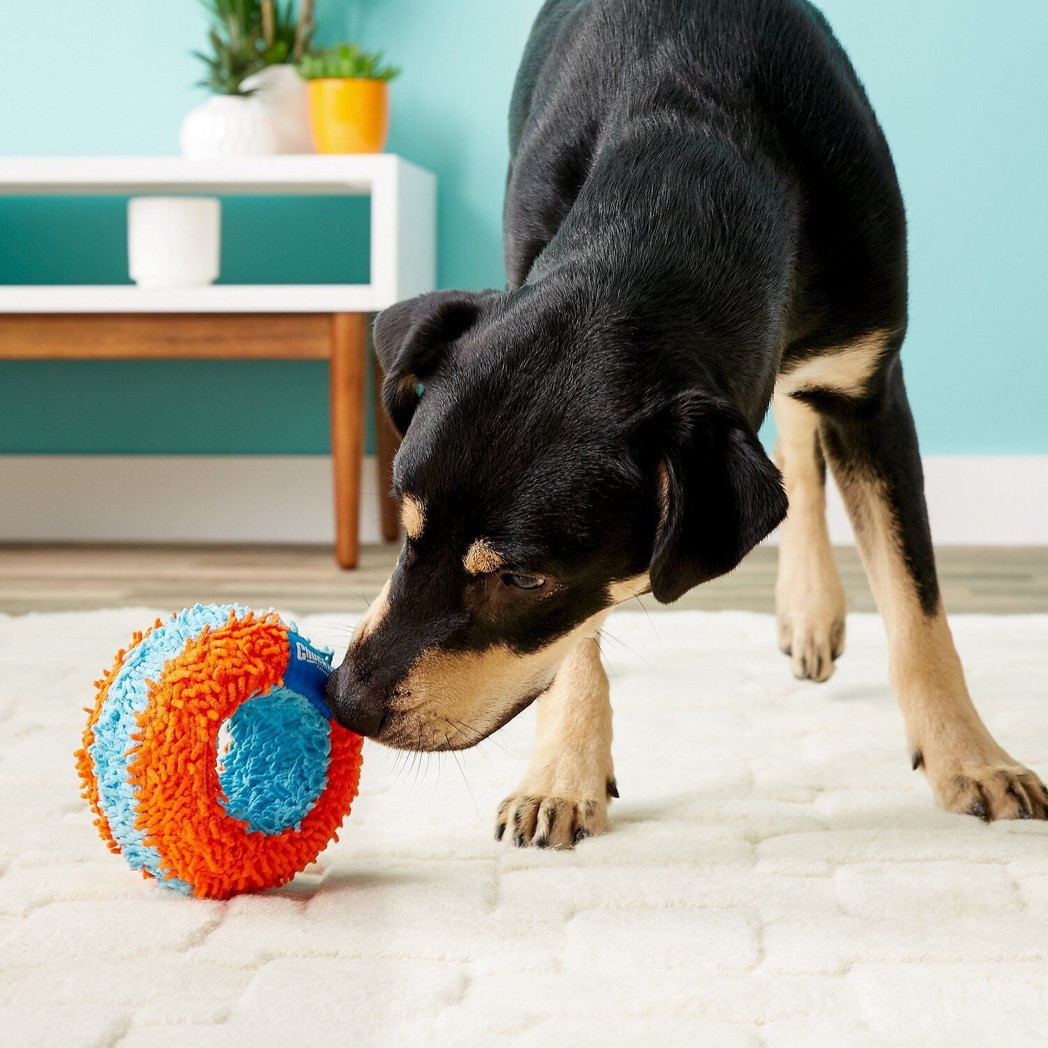 1PK Kleine Indoor Leichte Weiche Interaktive Plüsch Roller Hund Welpen Spielen Spielzeug Geschenk