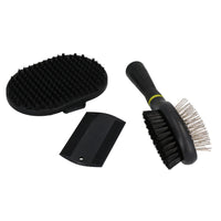 Kit de toilettage pour chiots : brosse à paume, brosse à picots et peigne anti-puces