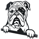 Black Metal Peeking Bulldog  Silhouette with Fixing Plate Garden Ornament Gift