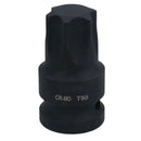 1/2in Drive Male Torx Star Impacted Impact Shallow Stubby Socket T55 – T100