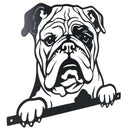 Black Metal Peeking Bulldog  Silhouette with Fixing Plate Garden Ornament Gift