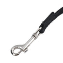 10M Recall  Long Line New Puppy Dog Recall Training Aid Accessories