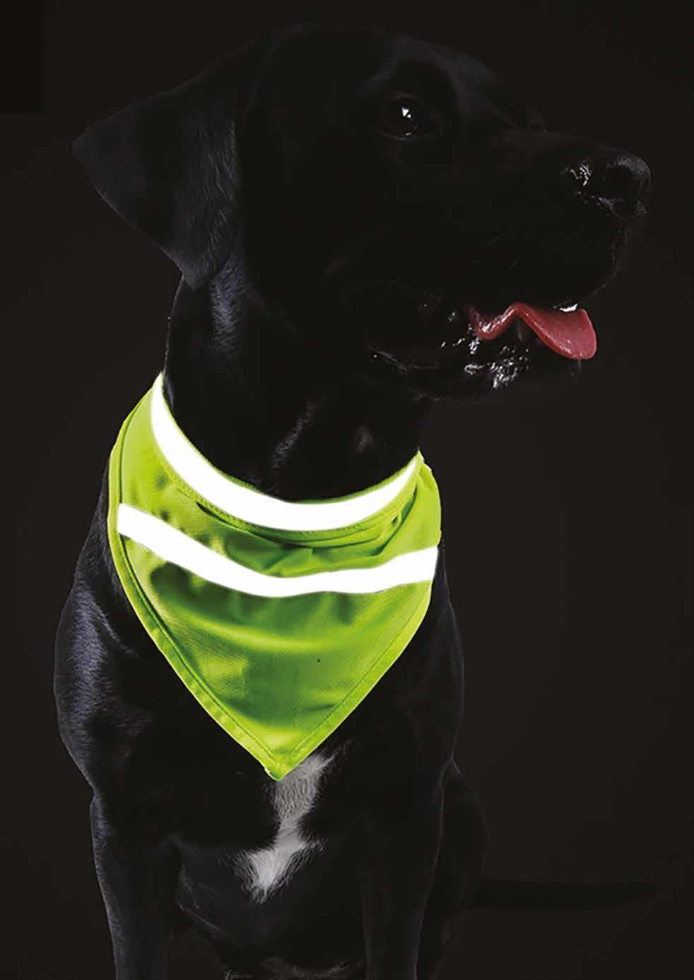 One Size Fit All High Viz Reflective Dog Bandanna Safety Accessory Dark Night Walk