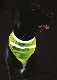 One Size Fit All High Viz Reflective Dog Bandanna Safety Accessory Dark Night Walk