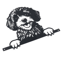 Schwarzes Metall, guckende Cockapoo-Silhouette mit Befestigungsplatte, Gartenfigur, Geschenk