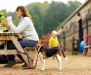 Petite laisse rouge multifonction tout-en-un pour chien avec amortisseur mains libres