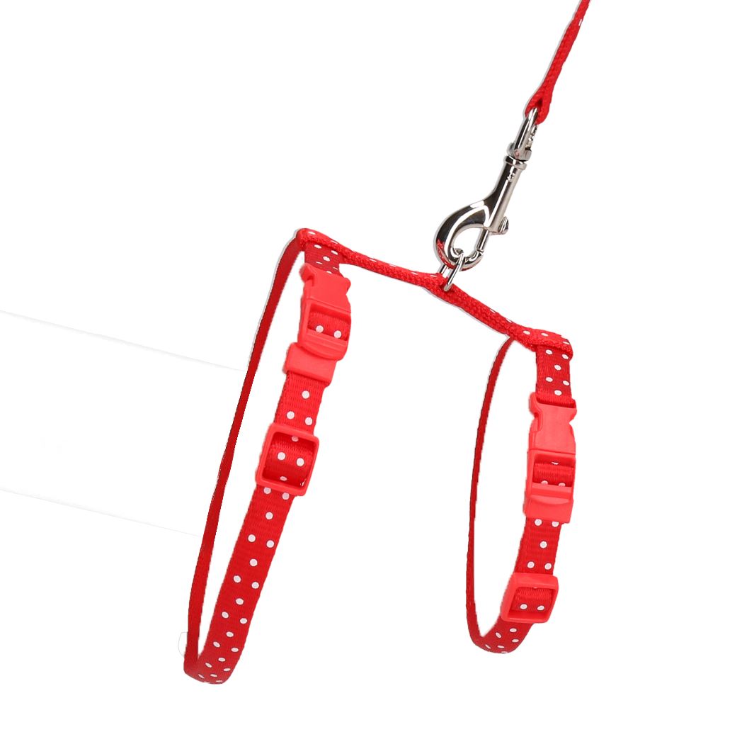 Harnais et laisse à pois rouges pour petits animaux (cou 14-20/poitrine 18-28 cm)