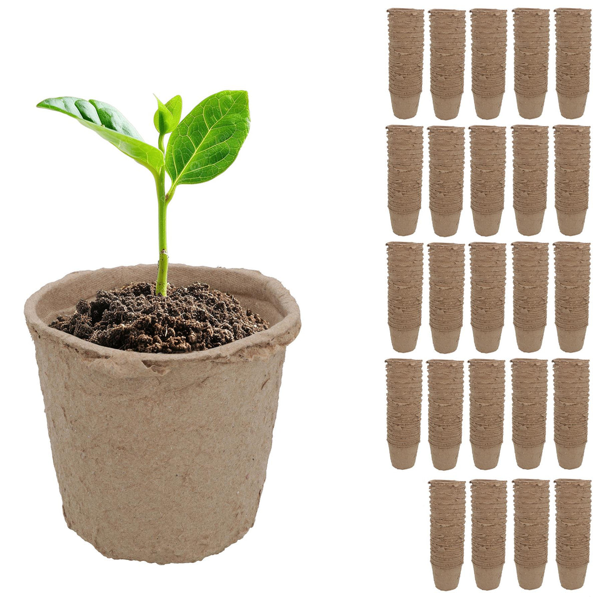 Biodegradable Fibre Plant Pots For Seeds Seedlings Cuttings Round 6 x 6.5cm