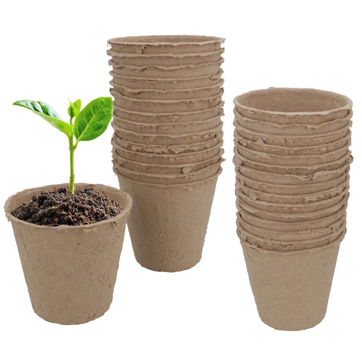 Biodegradable Fibre Plant Pots For Seeds Seedlings Cuttings Round 8 x 8cm