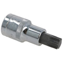 T55 Torx-Bit-Stern-Steckschlüsseleinsatz, 1/2 Zoll Antrieb, Standard-Innenteil, Chrom-Vanadium-Stahl