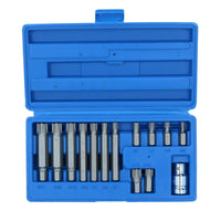14-teiliges professionelles Ribe-Bit-Set von Us-Pro AT757