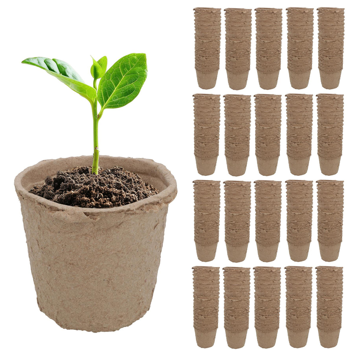 Biodegradable Fibre Plant Pots For Seeds Seedlings Cuttings Round 6 x 6.5cm