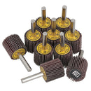 25mm 120 Grit Abrasive Flap Wheel Discs Sanding Rust Removal 6mm Shank