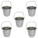 12L Stainless Steel Metal Bucket Pail Water Carrier Greenhouse Garden Plant BBQ