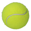 12 pk Interactive Hyper Fetch Mini Tennis Ball Dog Play Time 4cm