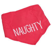 Bandana décoratif rouge de Noël pour chien « Naughty » - Vêtements de fête pour chien taille unique