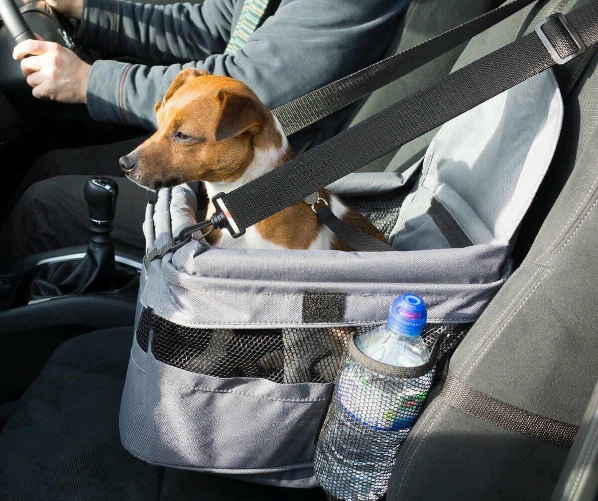 Haustier Kleine Hund Auto Booster Sitz Road Trips Reise Mit Gepolsterte Basis &amp; Tether Clip