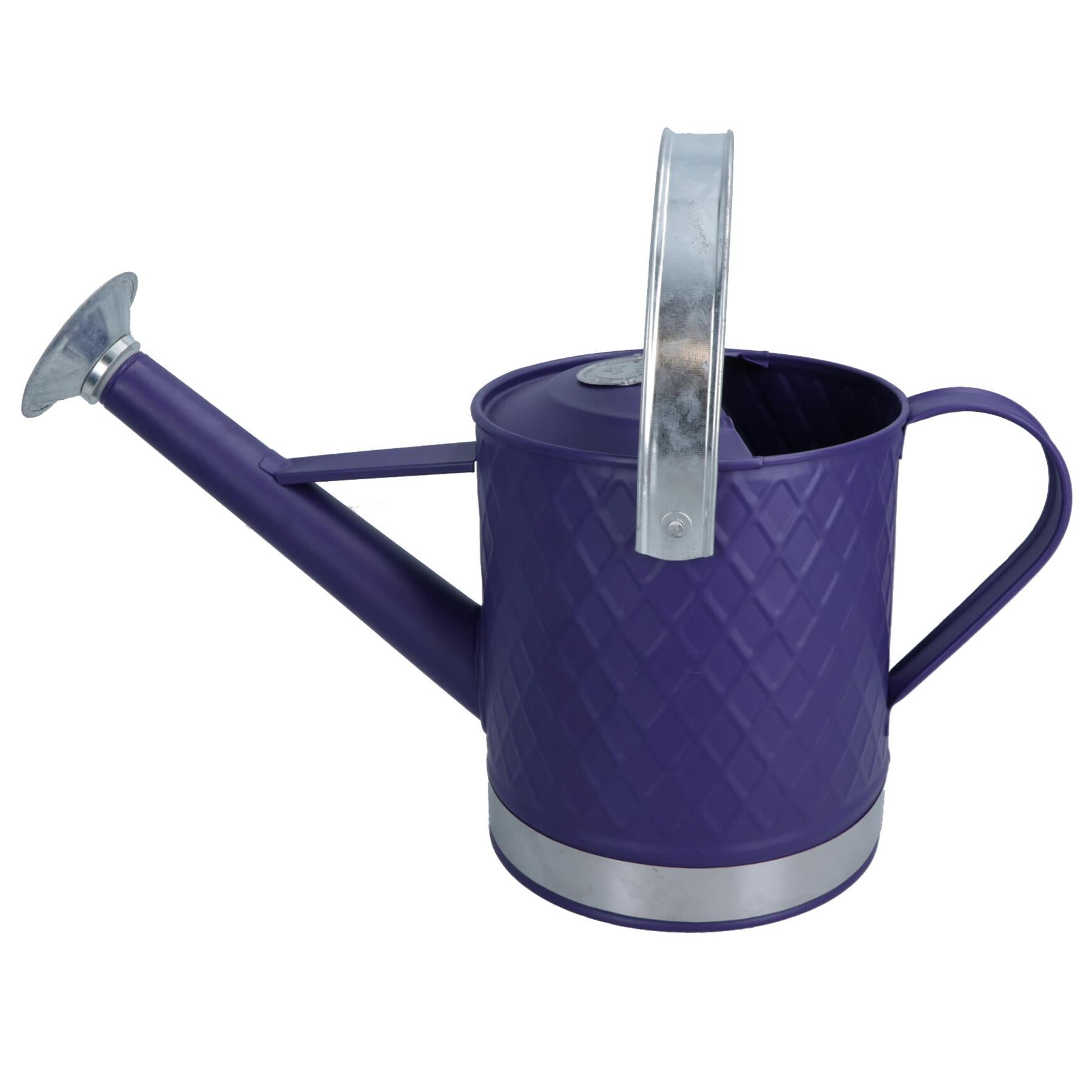 3L Watering Can Purple Steel Metal Water Greenhouse Garden Plants Home
