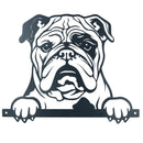 Black Metal Peeking Bulldog  Silhouette with Fixing Plate Garden Ornament Gift