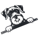 Black Metal Peeking Schnauzer Silhouette with Fixing Plate Garden Ornament Gift
