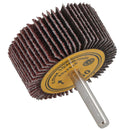 50mm 60 Grit Abrasive Flap Wheel Discs Sanding Rust Removal 6mm Shank