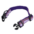 Halti Comfort Hundehalsband, gepolstert, verstellbar, stark reflektierend, klein, Violett