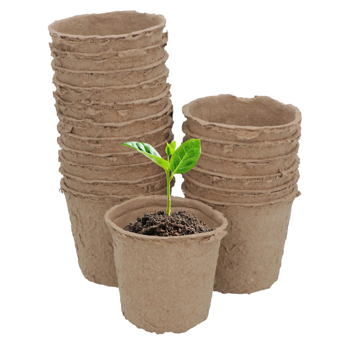 Biodegradable Fibre Plant Pots For Seeds Seedlings Cuttings Round 6 x 6.5cm