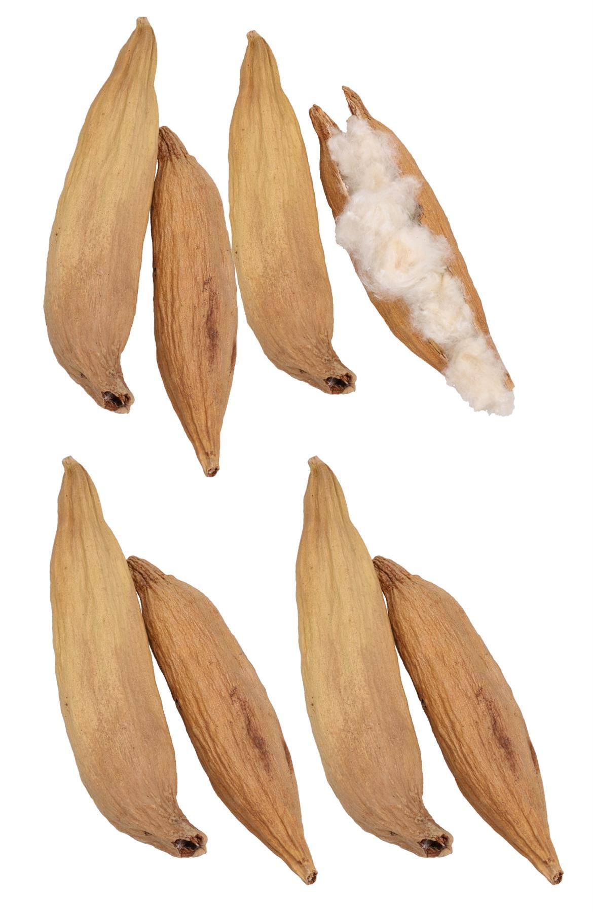 4pk Small Animals Hamsters, Mice, Gerbils Naturals Play n Bedding Pods