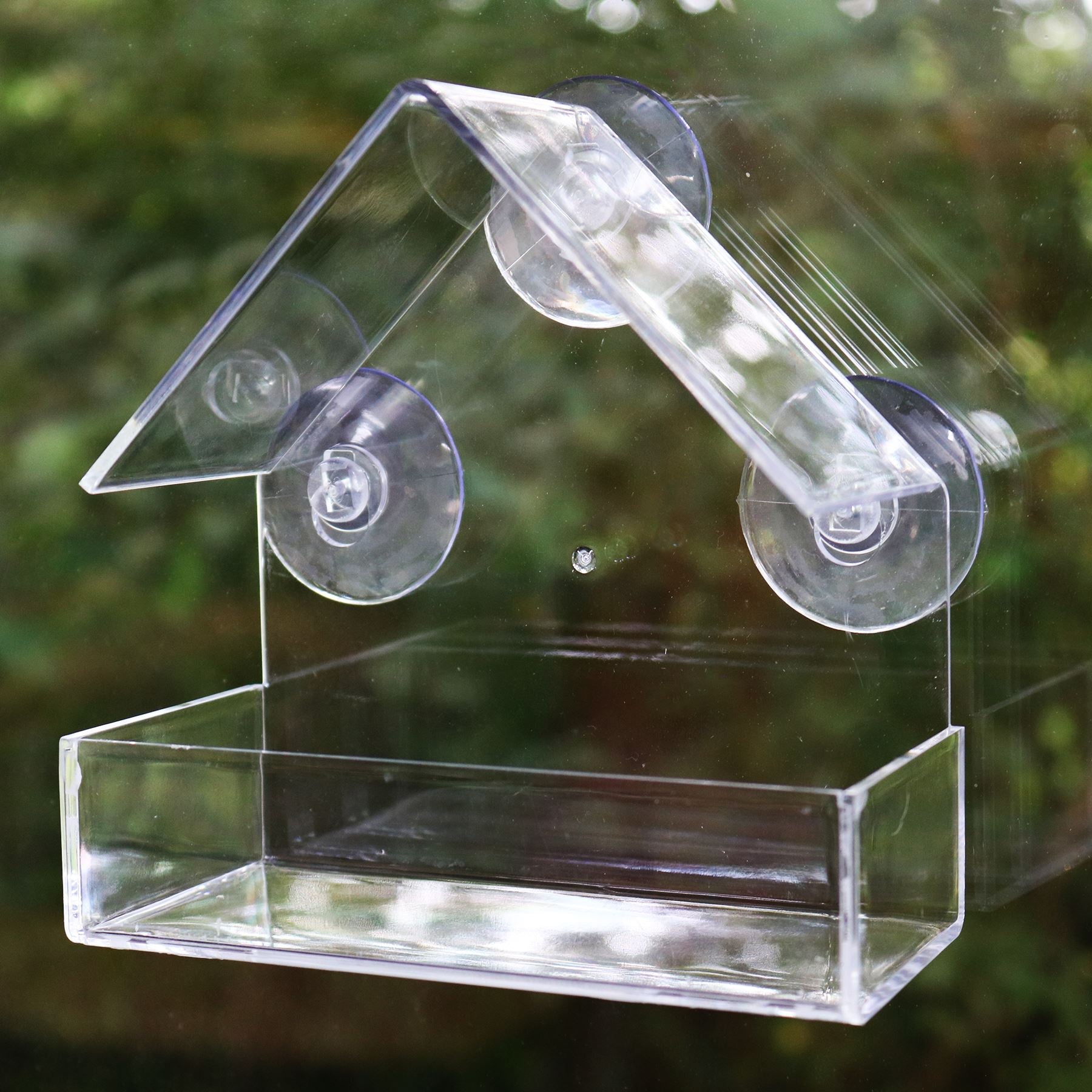 Hanging Window Wild Bird Feeder Table Clear Viewing Perspex with 3 Suction Pads
