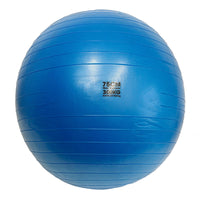Swiss Exercise Ball for Yoga, Fitness, Pilates, Core Workouts 55cm / 65cm / 75cm