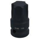 1/2in Drive Male Torx Star Impacted Impact Shallow Stubby Socket T55 – T100