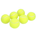 6pk Maxi Hyper Fetch Super Bounce Tennis Ball Dog Play Time 6cm