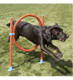 Leicht zusammenzubauender Agility-Reifen für Hunde und Haustiere mit 6 Höhenpositionen, der Spaß beim Trainieren bietet.