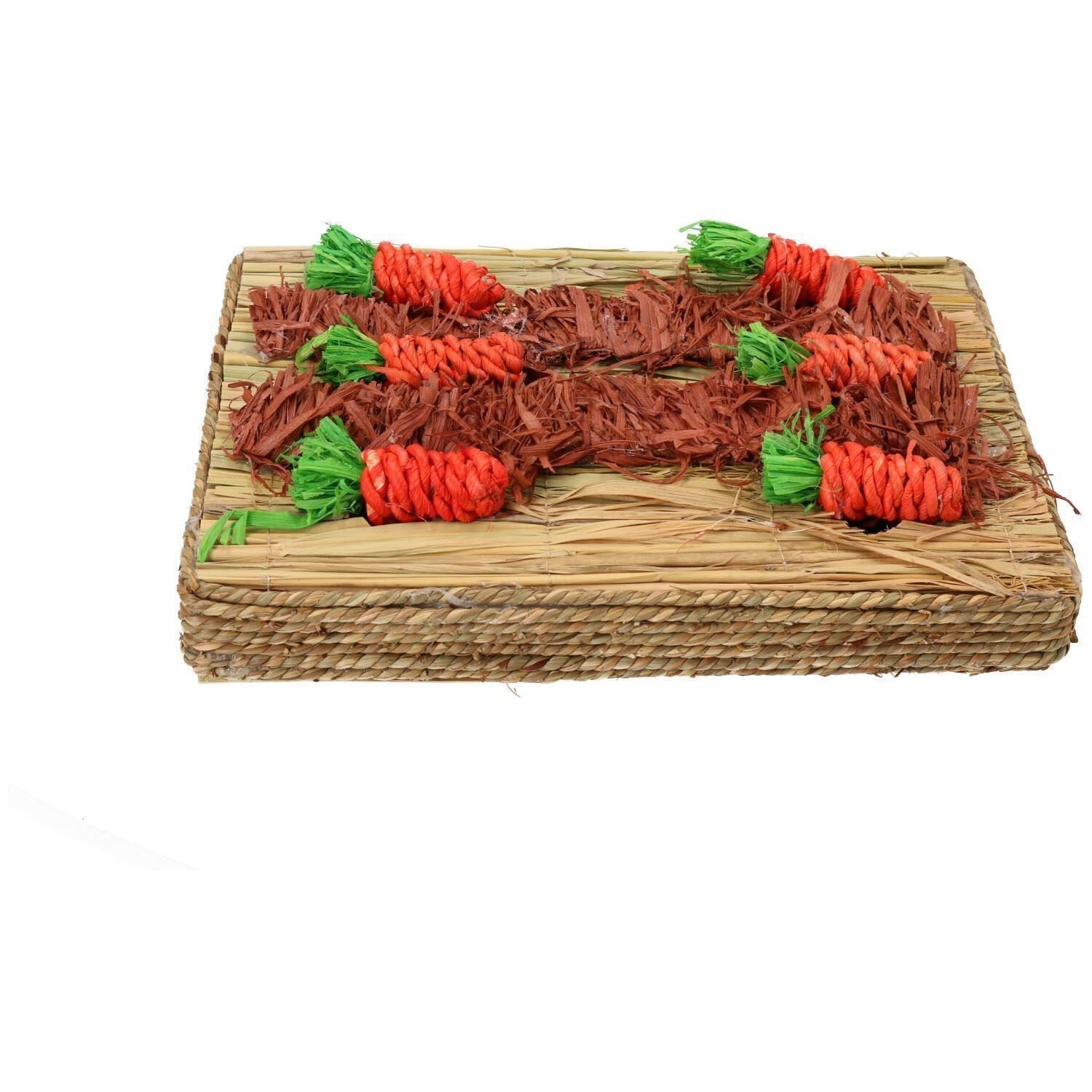 Small Animals Rabbit, Guinea Pigs Toy Carrot Play Patch & 12 Sisal Carrots