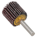 25mm 40 Grit Abrasive Flap Wheel Discs Sanding Rust Removal 6mm Shank